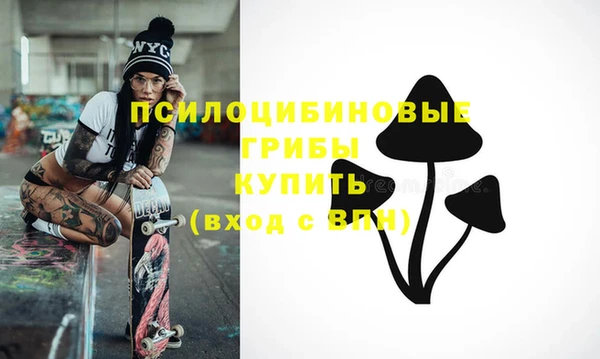 индика Баксан