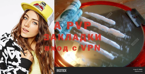 индика Баксан