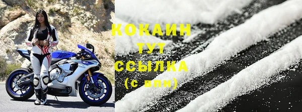 индика Баксан