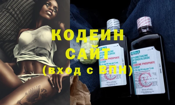 индика Баксан