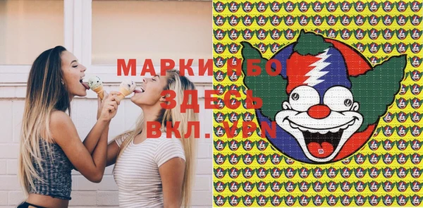 индика Баксан