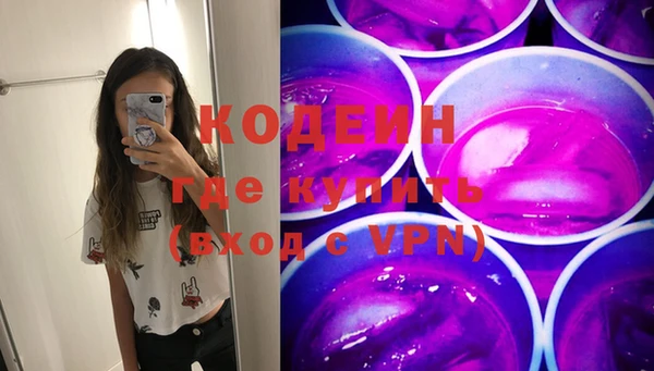 индика Баксан