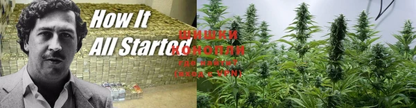 индика Баксан