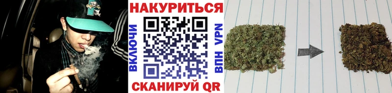 Конопля план  МЕГА tor  Белокуриха 